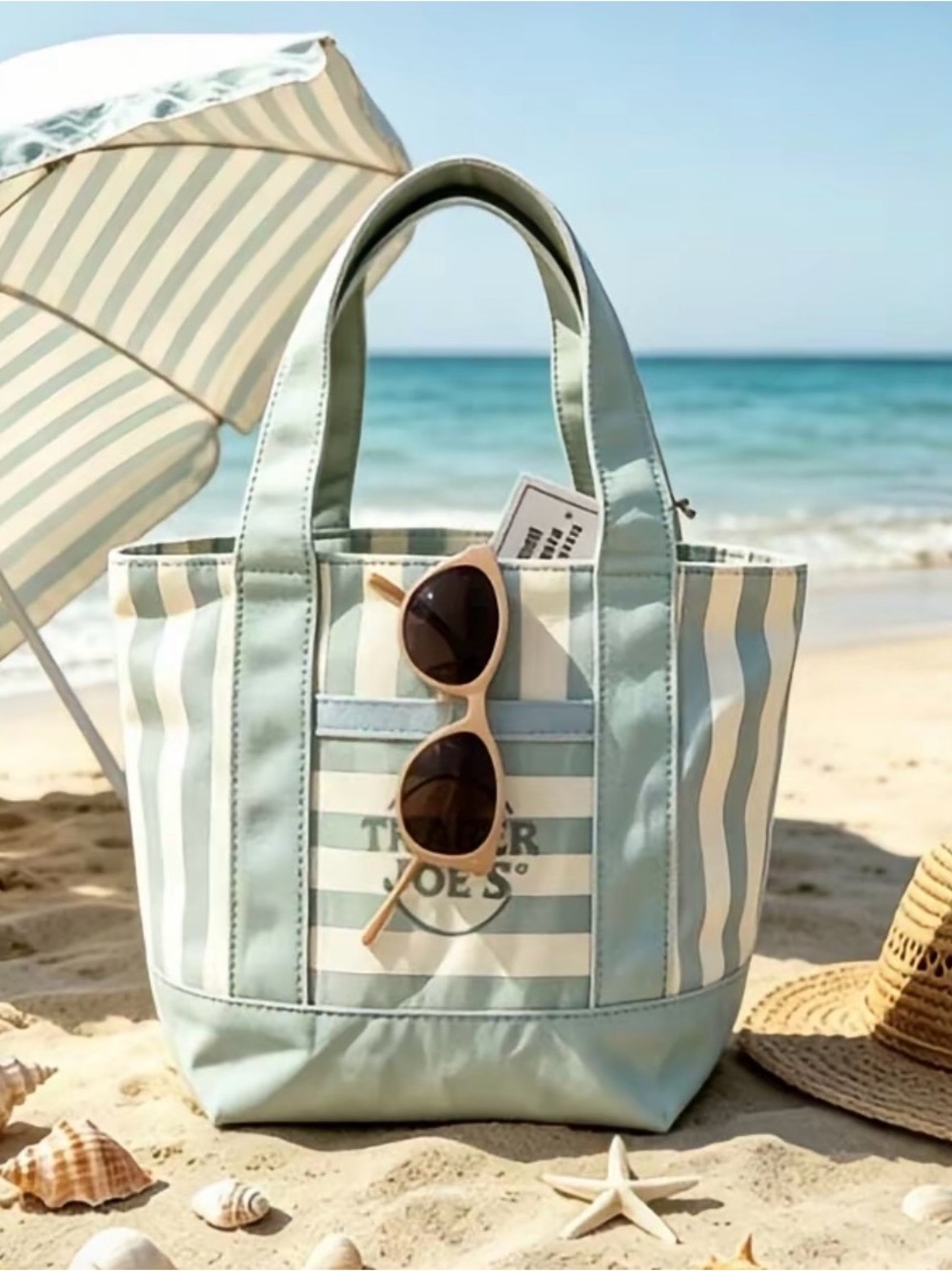 Trader Joe’s Mini Canvas Tote Bag in Blue and White
